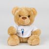 Bear in a t-shirt Thumbnail